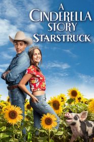 A Cinderella Story: Starstruck