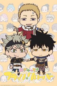 Squishy! Black Clover